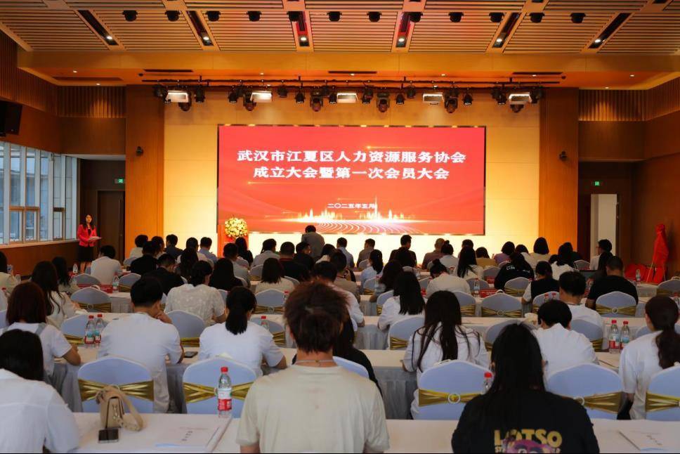 武漢市江夏區(qū)人力資源服務(wù)協(xié)會成立:人力資源